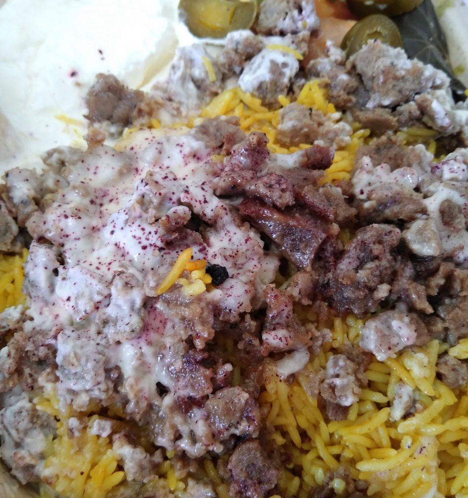 پلوت این